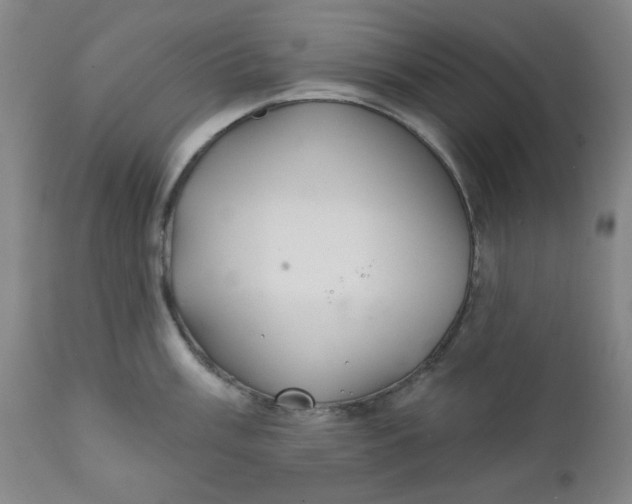 X0000112021003200908241510