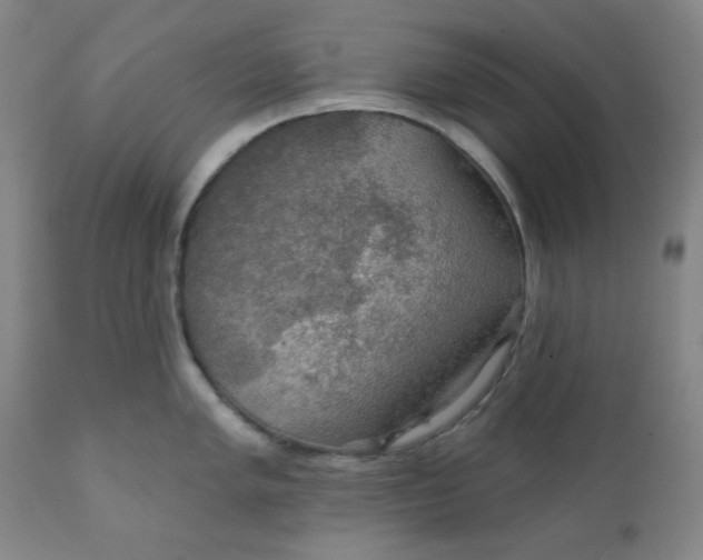 X0000112021005200908241510