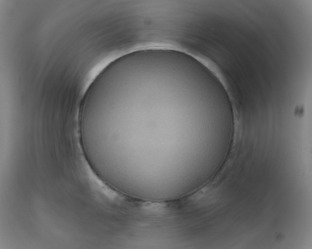 X0000112021006200908241510