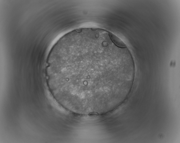 X0000112021008200908241510