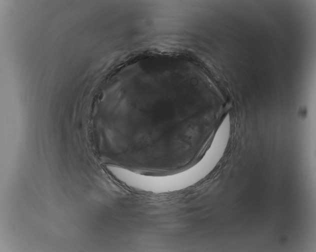 X0000112021009200908241509