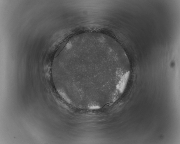 X0000112021010200908241509