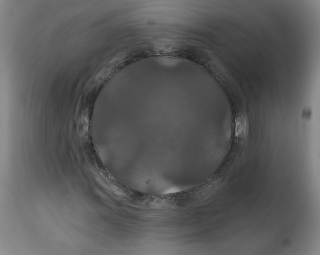 X0000112021011200908241509