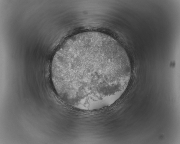 X0000112021012200908241509