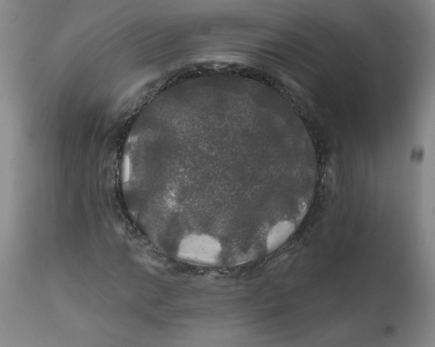 X0000112021014200908241509