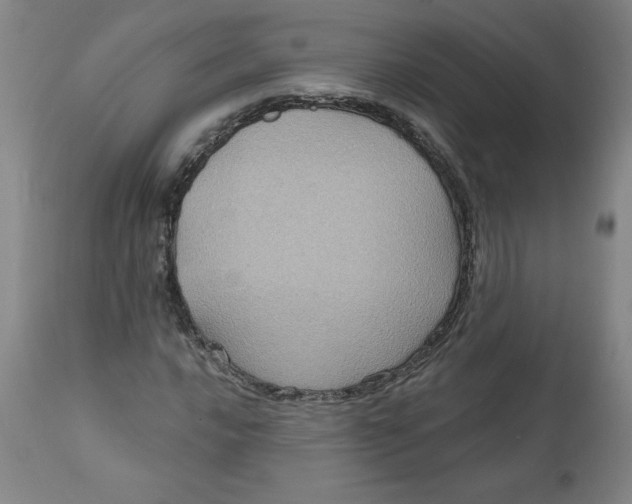 X0000112021016200908241509