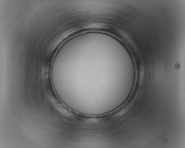 X0000112021017200908241509