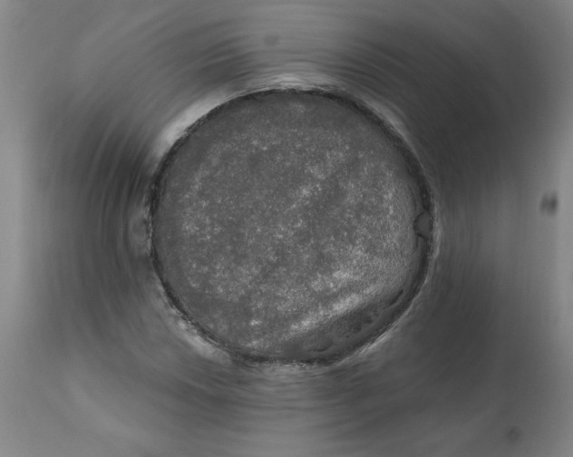 X0000112021018200908241509