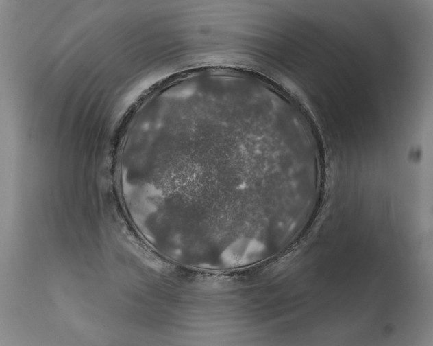 X0000112021019200908241509