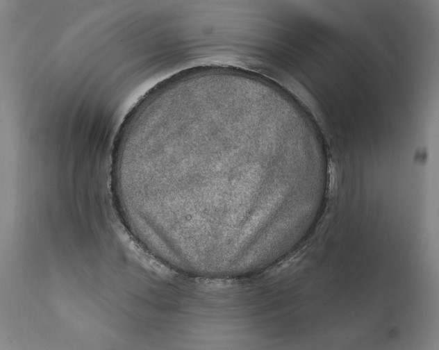 X0000112021020200908241509