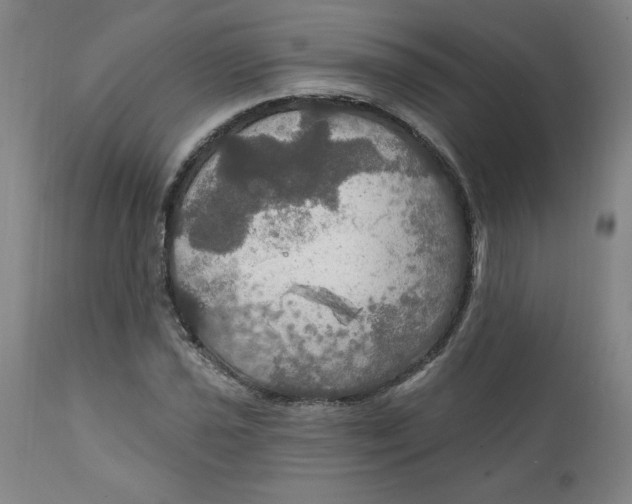 X0000112021021200908241509