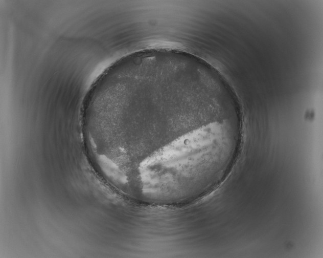 X0000112021022200908241510