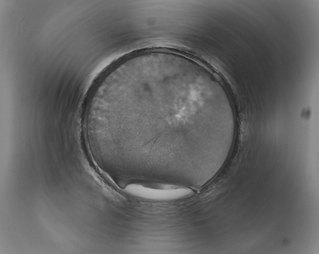 X0000112021024200908241510