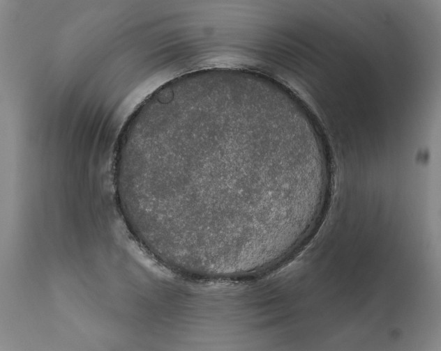 X0000112021026200908241510