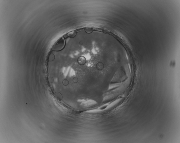 X0000112021027200908241510