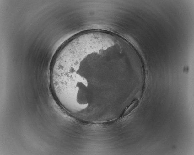 X0000112021028200908241510