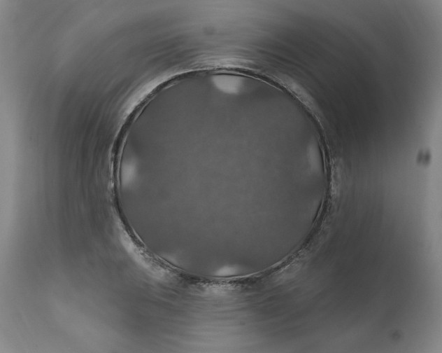 X0000112021031200908241510