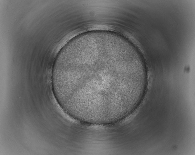 X0000112021033200908241510