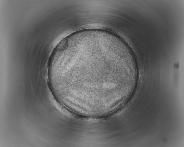 X0000112021034200908241510