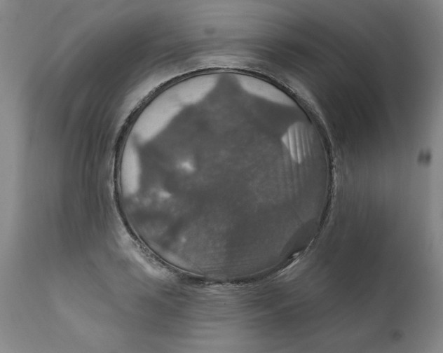 X0000112021035200908241510