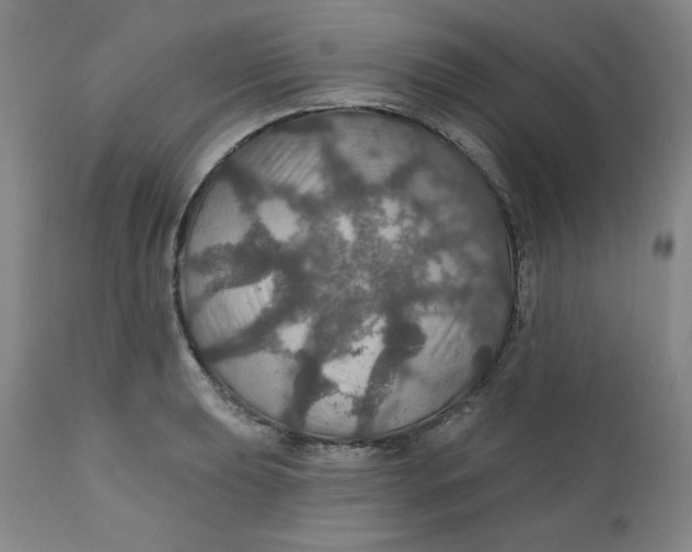 X0000112021039200908241510