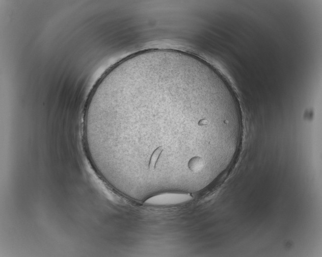 X0000112021040200908241510