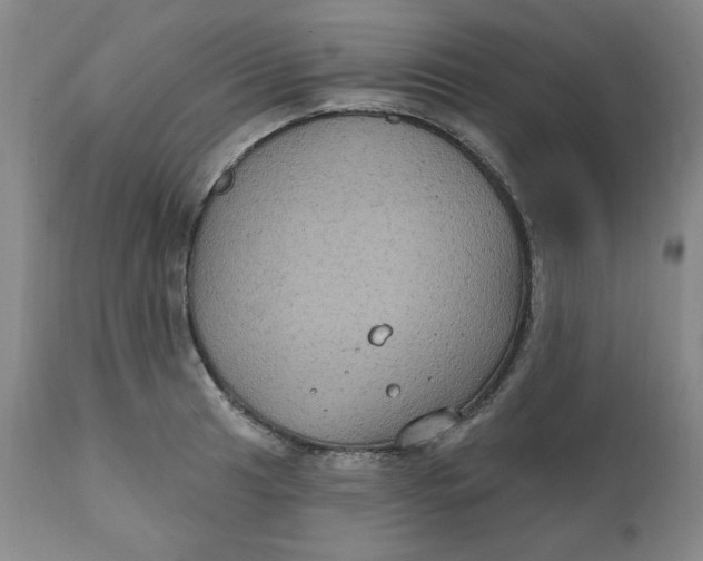 X0000112021041200908241510