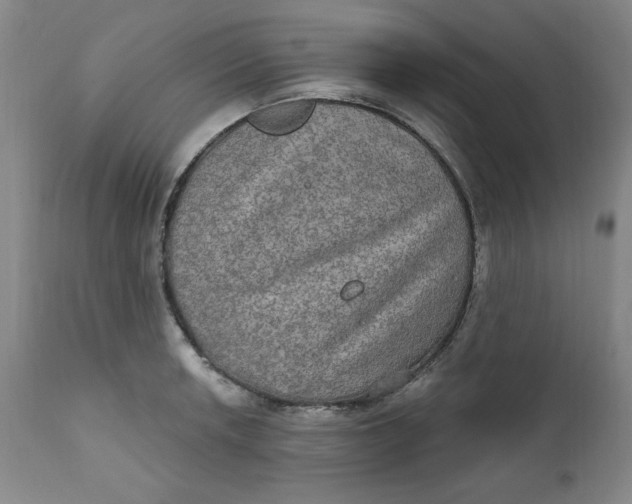 X0000112021042200908241510