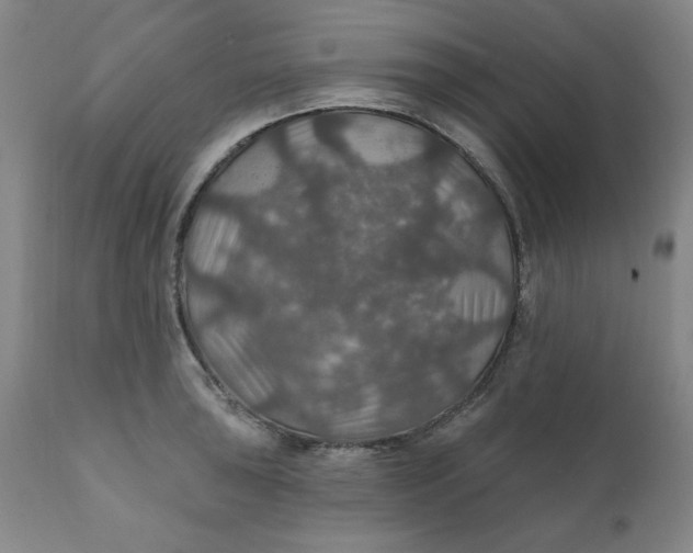 X0000112021043200908241510