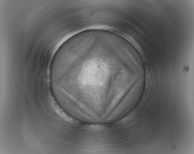 X0000112021044200908241510