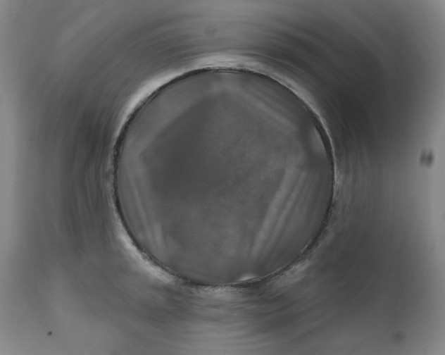 X0000112021045200908241510