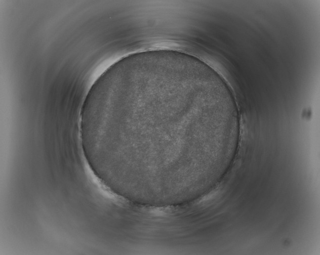 X0000112021047200908241510