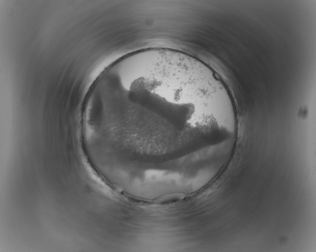 X0000112021048200908241510