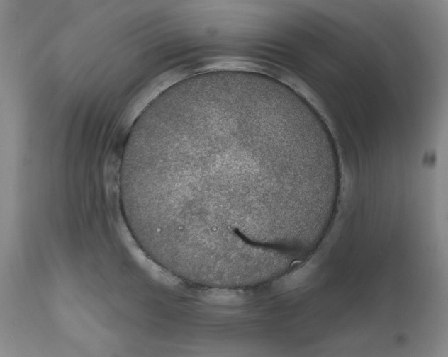 X0000112021049200908241510