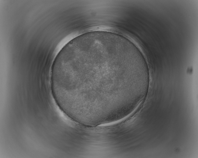 X0000112021050200908241510