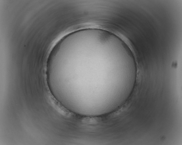 X0000112021051200908241510