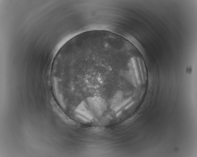 X0000112021052200908241510