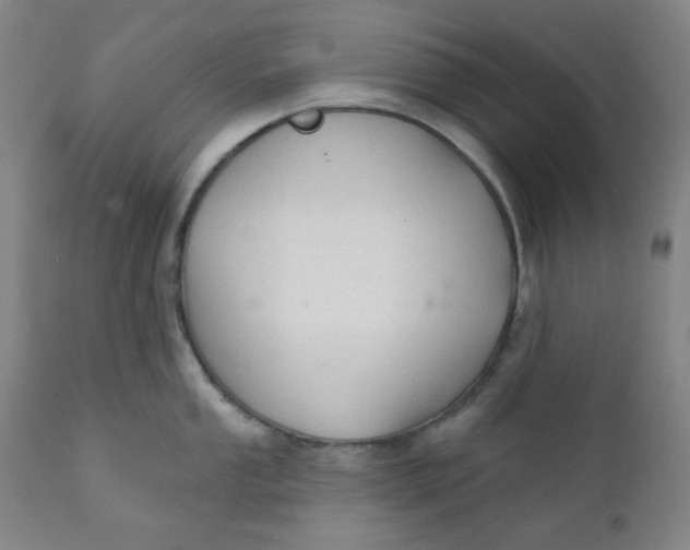 X0000112021053200908241510