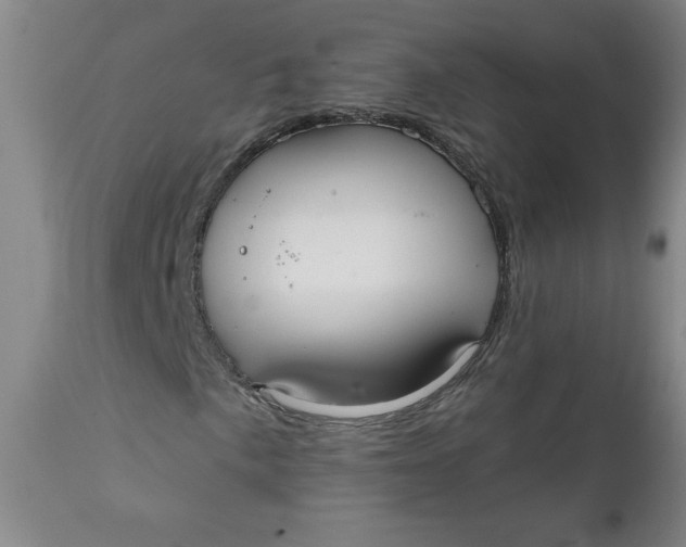 X0000112021057200908241509