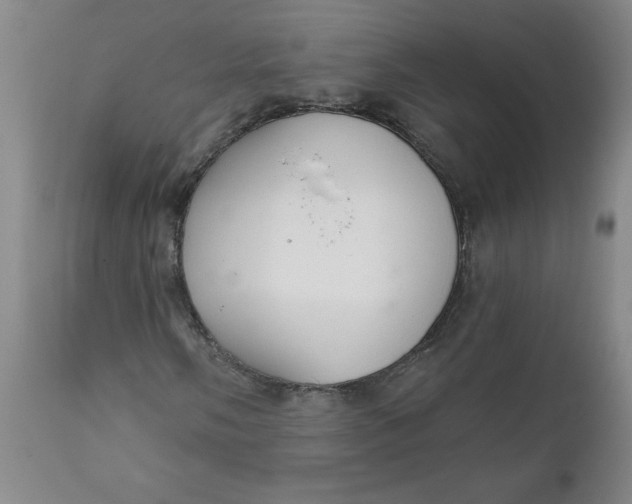 X0000112021058200908241509