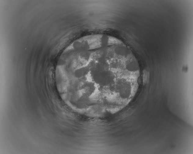 X0000112021059200908241509