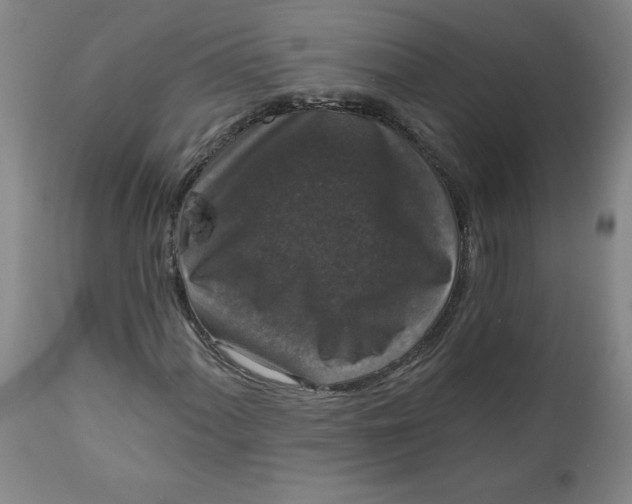 X0000112021060200908241509