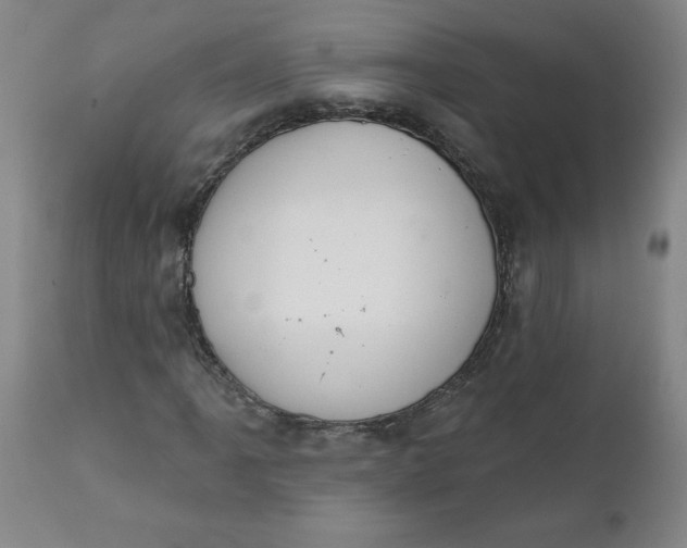 X0000112021061200908241509