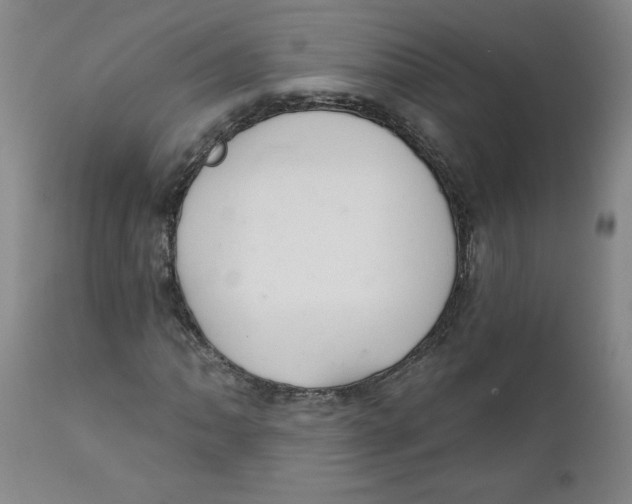 X0000112021062200908241509