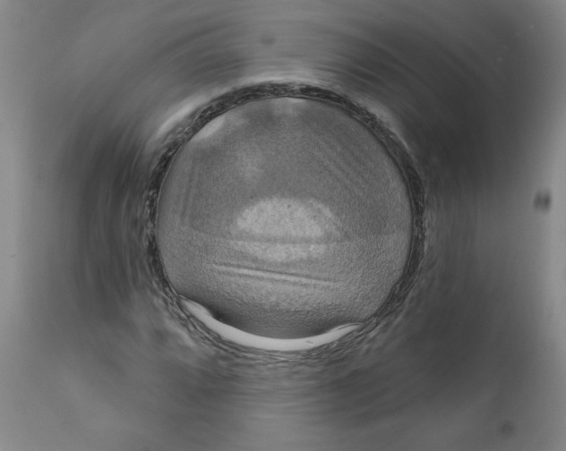 X0000112021064200908241509