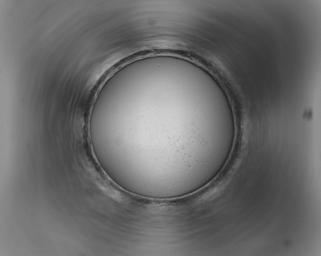 X0000112021065200908241509