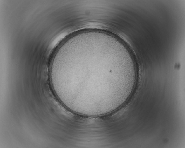 X0000112021067200908241509