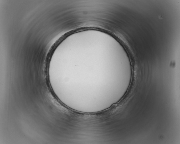 X0000112021068200908241509