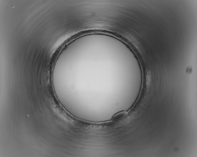 X0000112021069200908241509