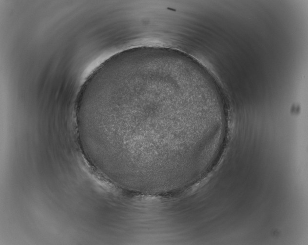 X0000112021070200908241509